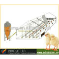 Companhias de equipamento avícola